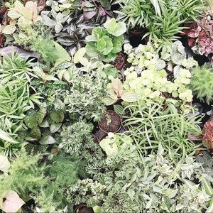 Meet your Posher, Yunesta